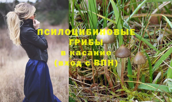 круглые Карталы