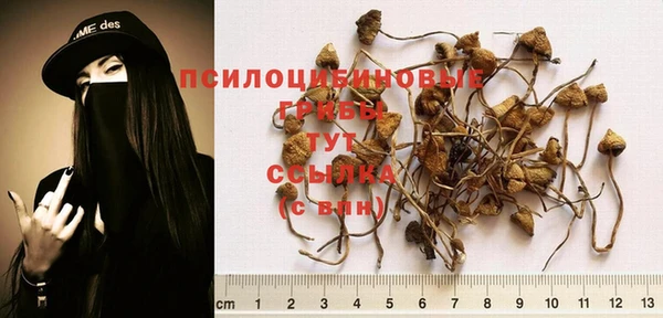 круглые Карталы
