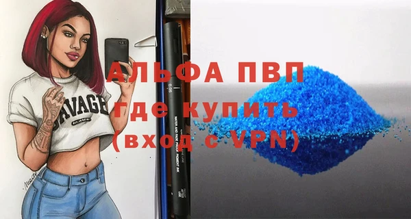 стаф Каменск-Шахтинский