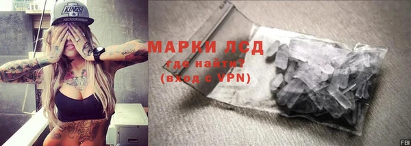 индика Кинешма