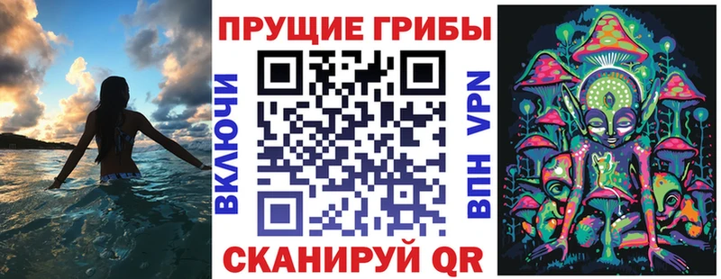 МЕГА зеркало  Калачинск  Галлюциногенные грибы Psilocybe  цена  